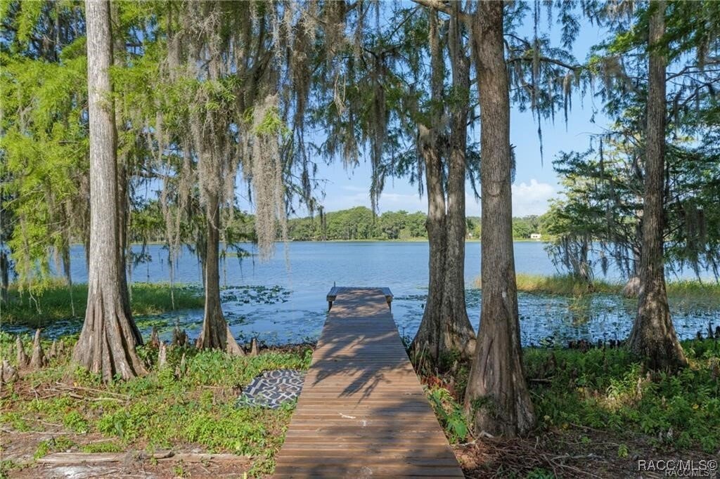 House in Hernando, Florida, United States 2 - 16966978