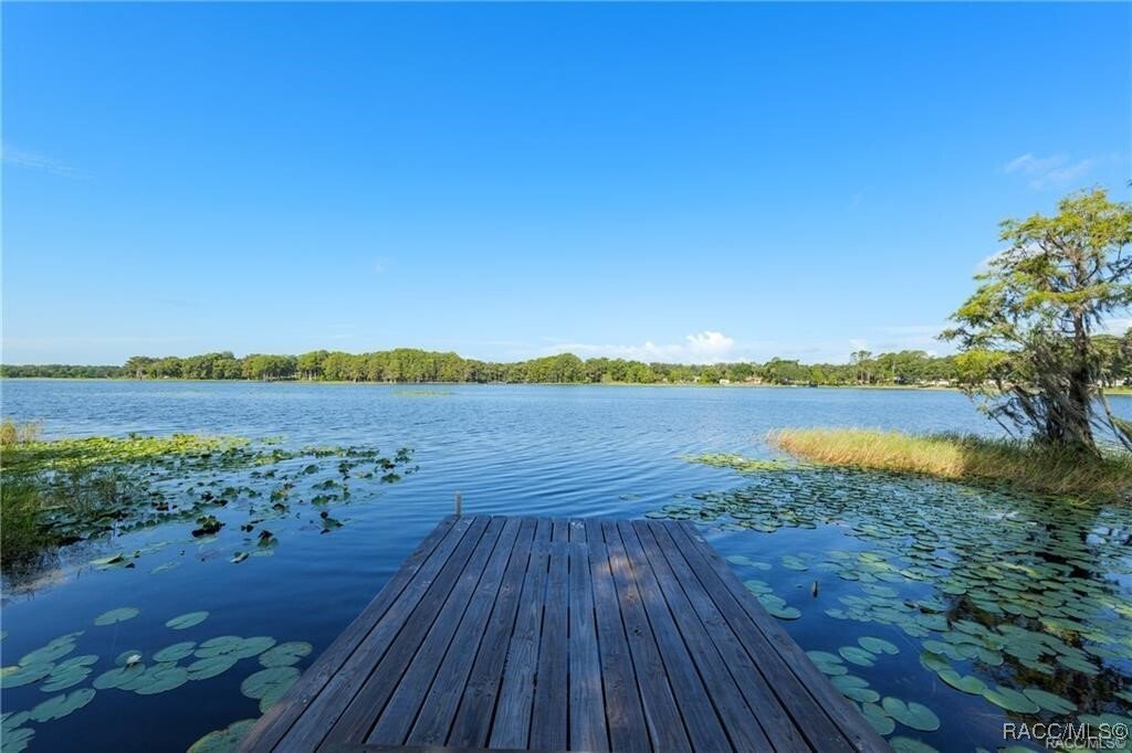 House in Hernando, Florida, United States 1 - 16966978
