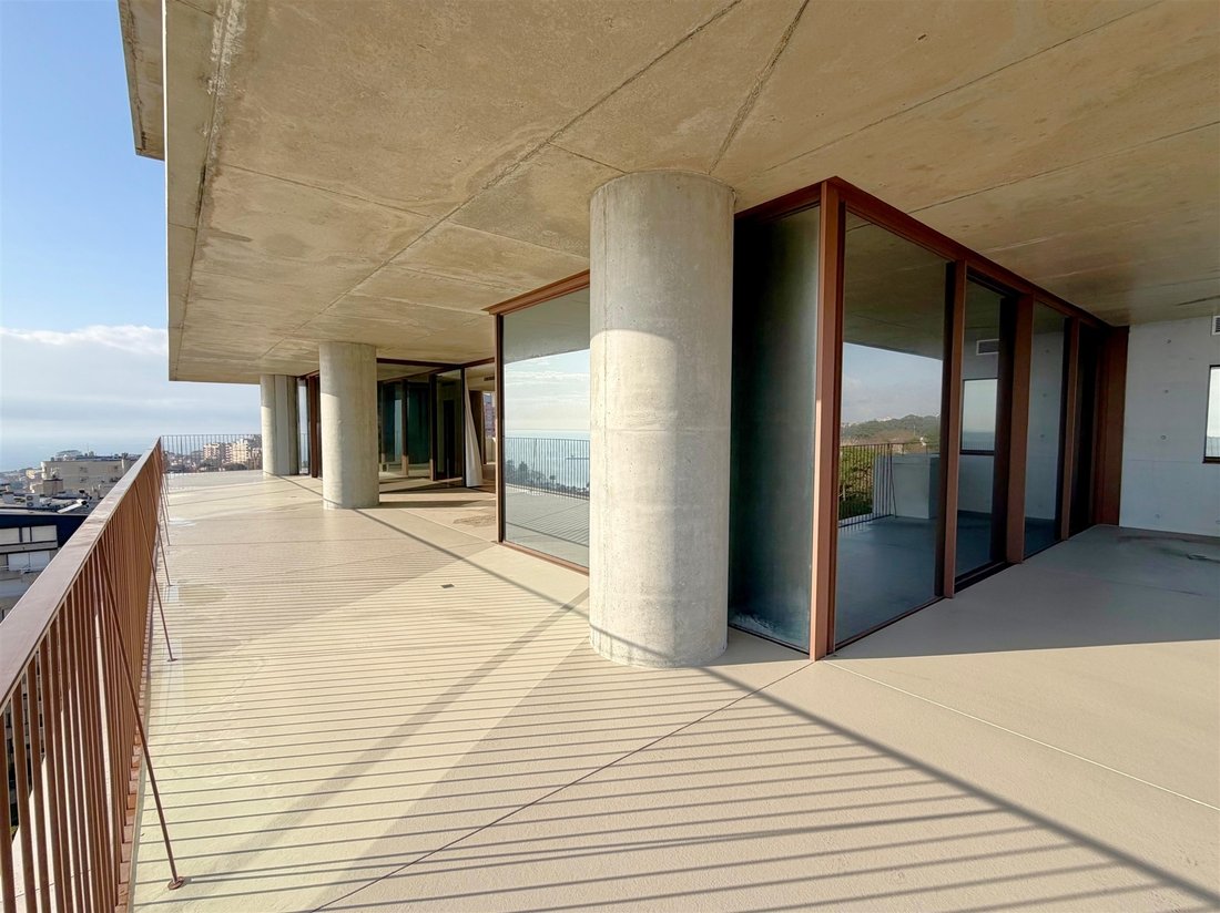 Apartment in Lordelo do Ouro e Massarelos, Porto District, Portugal 3 - 16966447