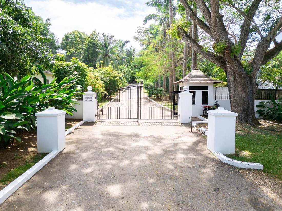 Land in Unity Hall, Jamaica 4 - 16968989