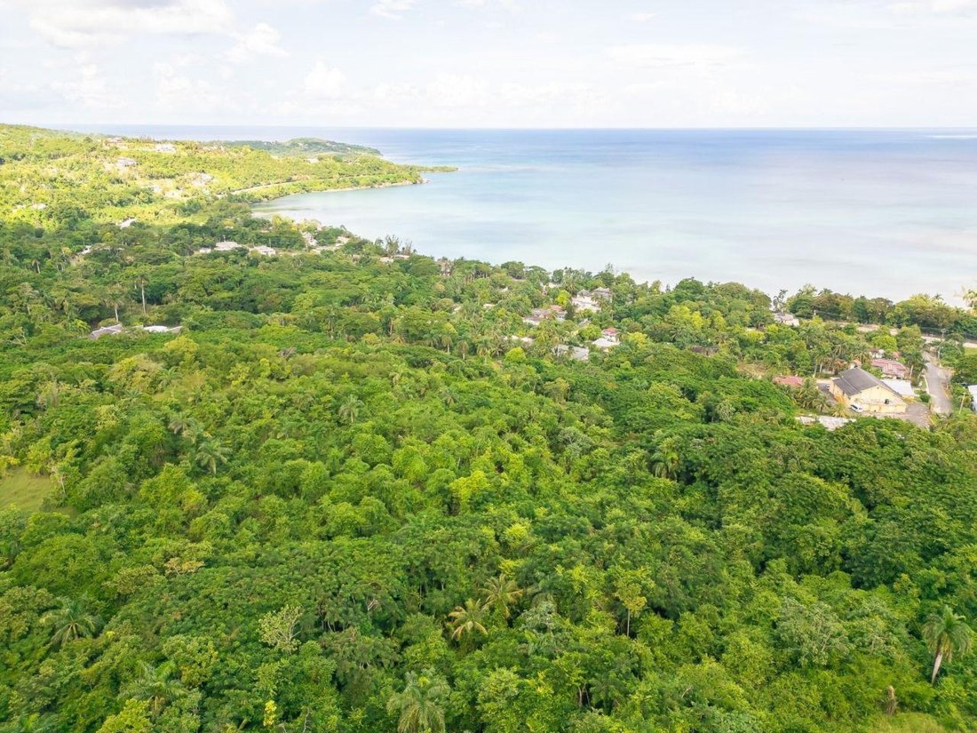Land in Unity Hall, Jamaica 3 - 16968989