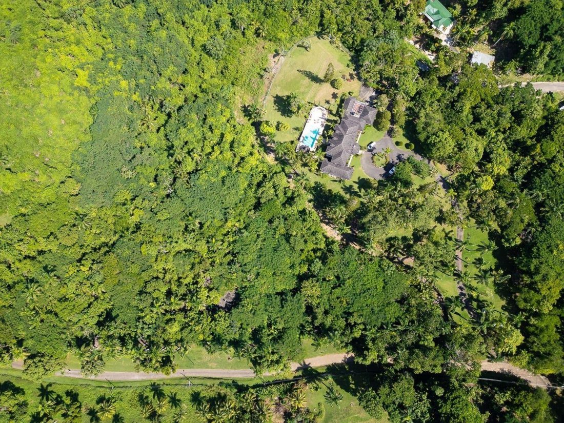 Land in Unity Hall, Jamaica 2 - 16968989