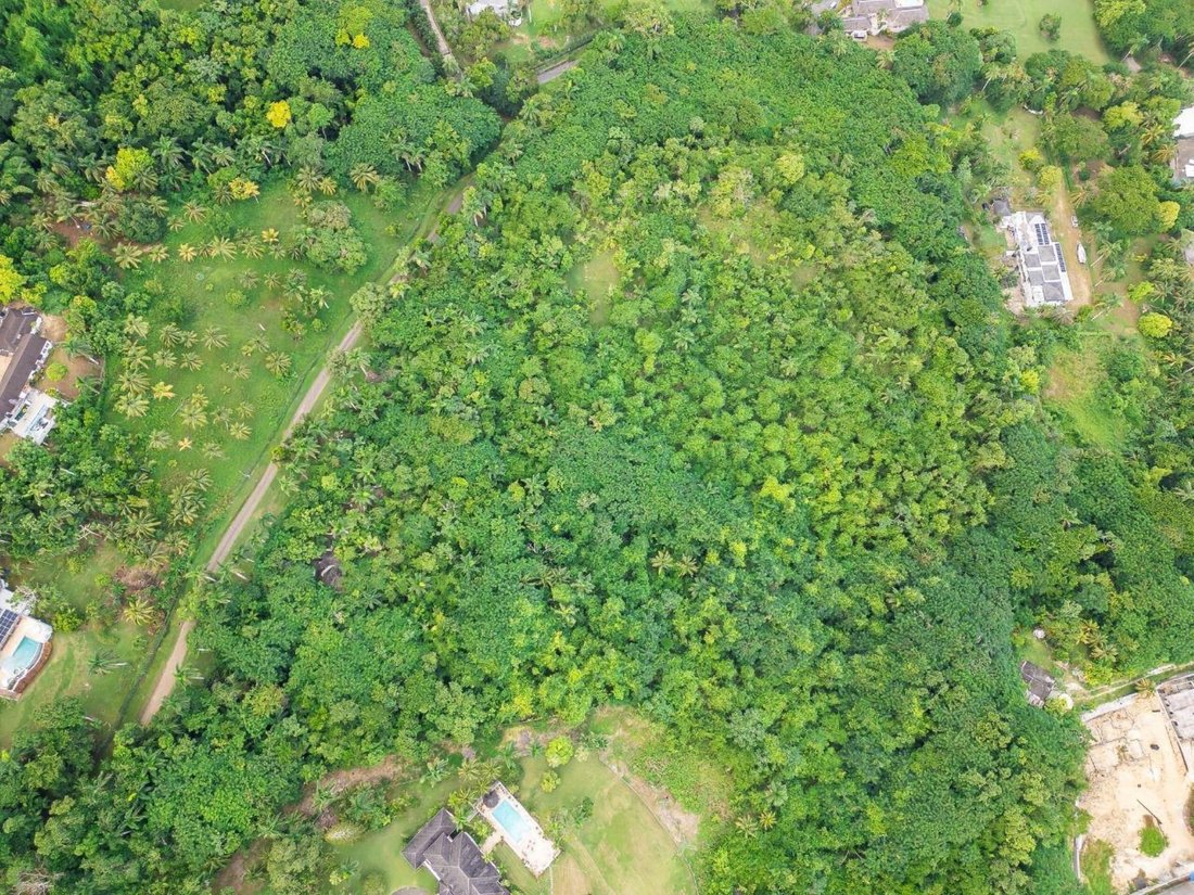 Land in Unity Hall, Jamaica 1 - 16968989