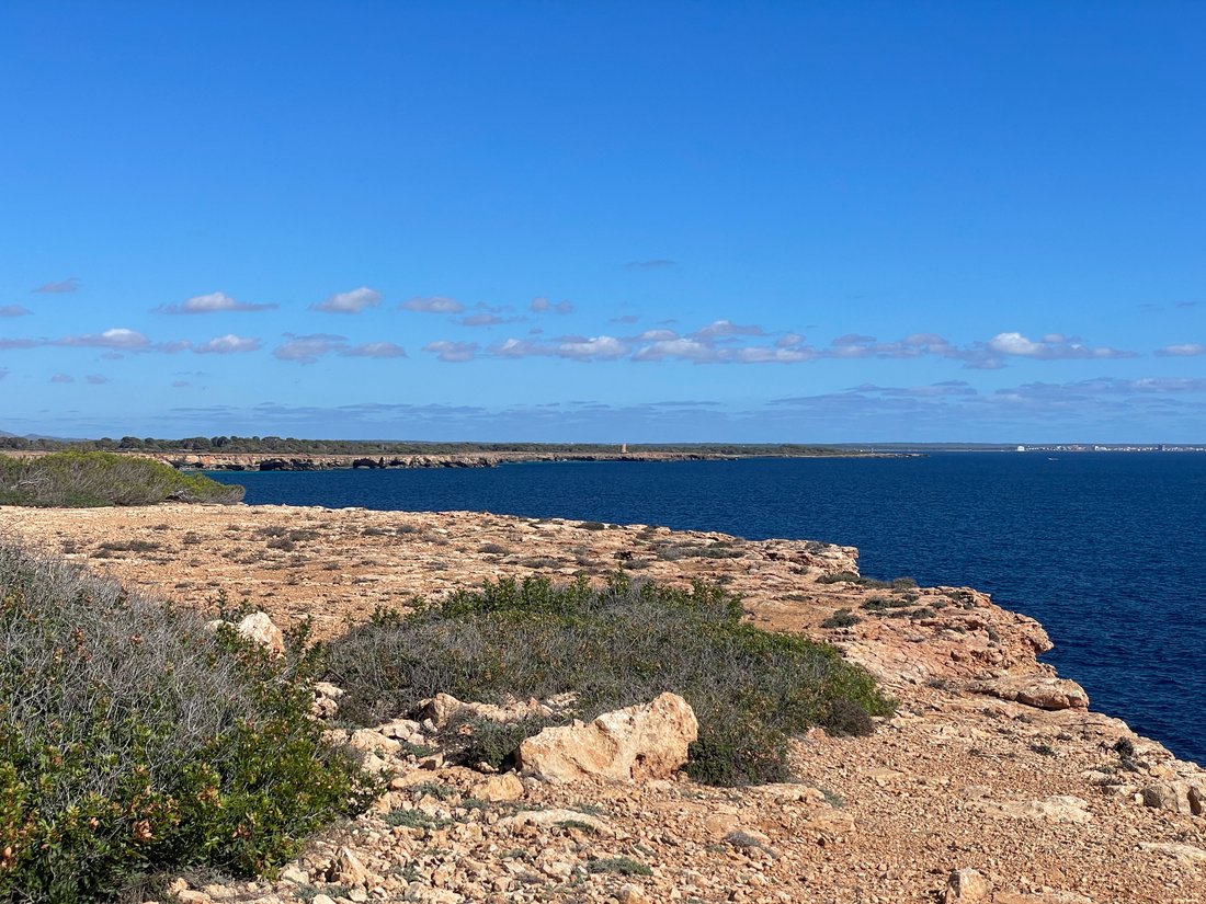 Land in Llucmajor, Balearische Inseln, Spanien 1 - 14930146