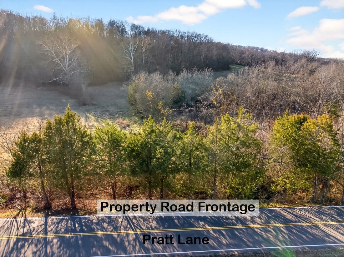 Land in Franklin, Tennessee, United States 2 - 16969162