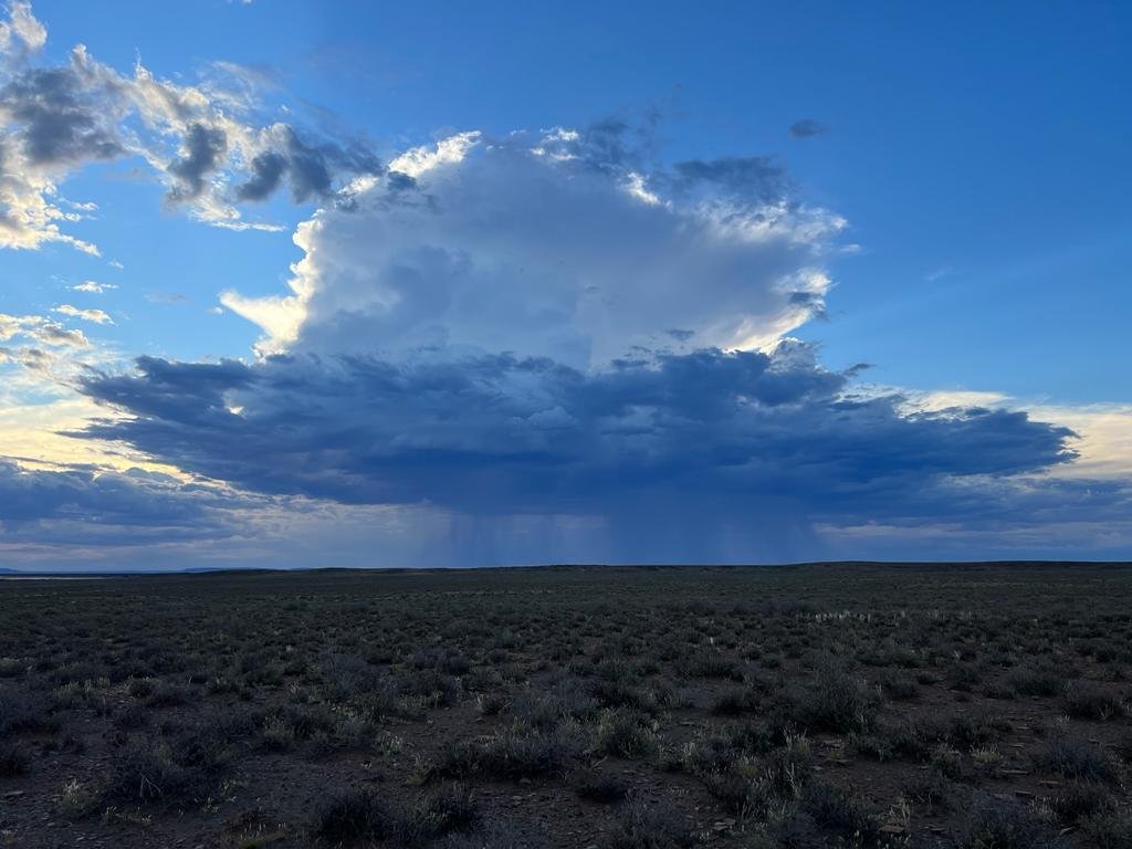 Farm Ranch in Calvinia, Northern Cape, South Africa 5 - 16969523