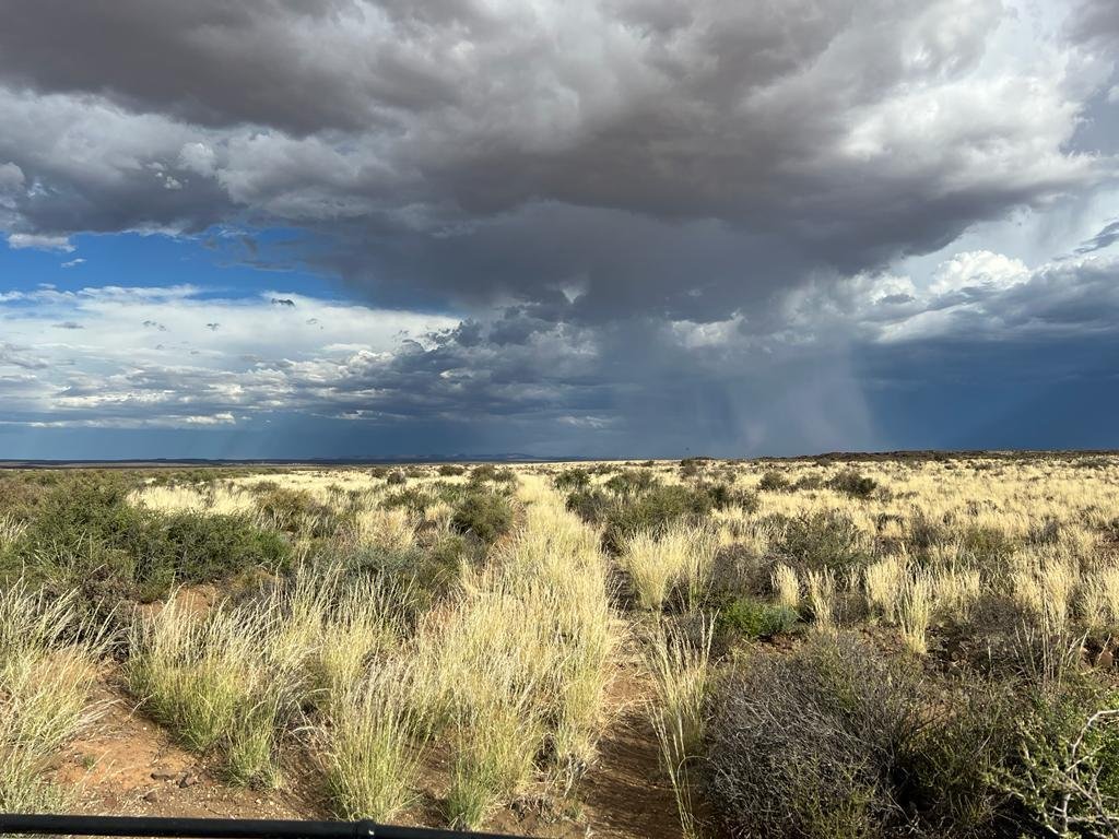 Farm Ranch in Calvinia, Northern Cape, South Africa 1 - 16969523