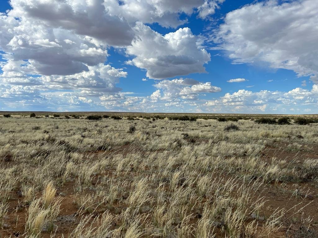 Farm Ranch in Calvinia, Northern Cape, South Africa 3 - 16969523