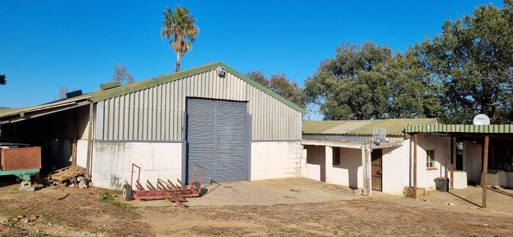 Farm Ranch in Drakenstein Local Municipality, Western Cape, South Africa 4 - 16969533