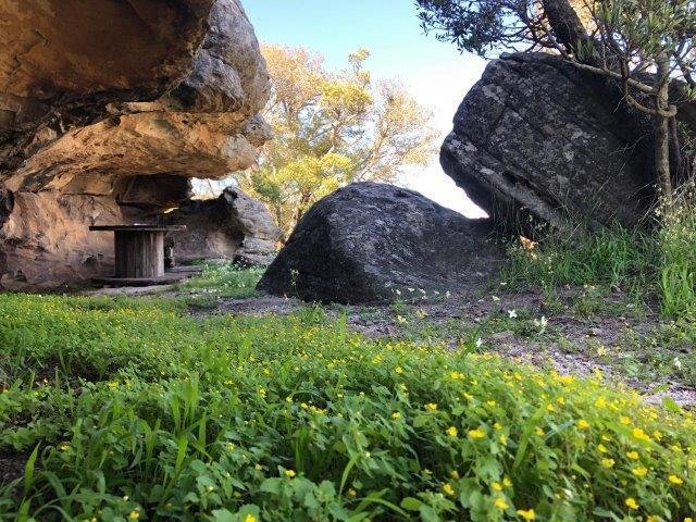 Farm Ranch in Hantam Local Municipality, Northern Cape, South Africa 4 - 16969526
