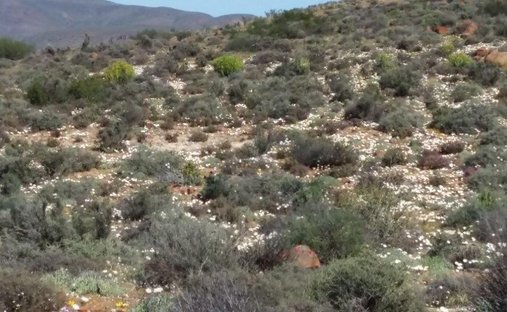 Corps de ferme en Municipalité locale de Hantam, Cap du Nord, Afrique du Sud 1