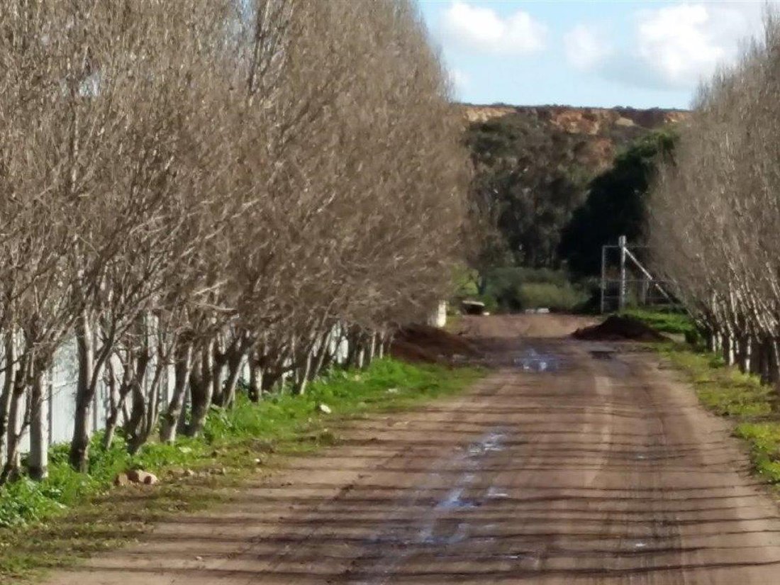 Farm Ranch in Cape Town, Western Cape, South Africa 5 - 16969540