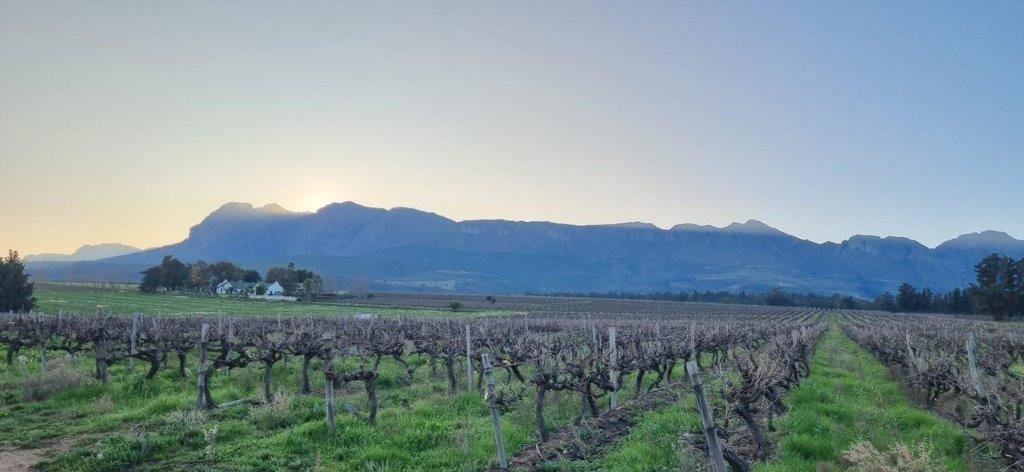 Farm Ranch in Drakenstein Local Municipality, Western Cape, South Africa 2 - 16969533