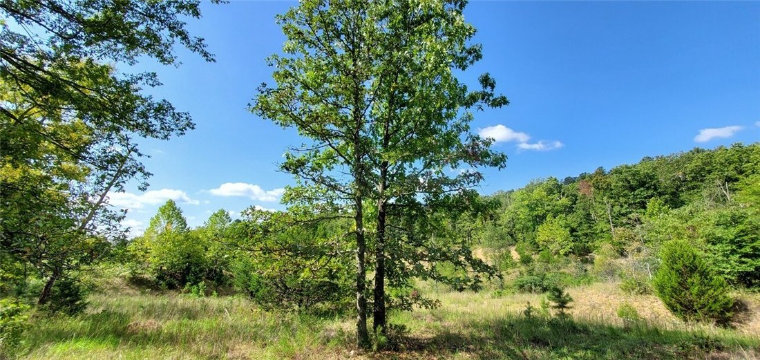 Land in Berryville, Arkansas, United States 4 - 16969128