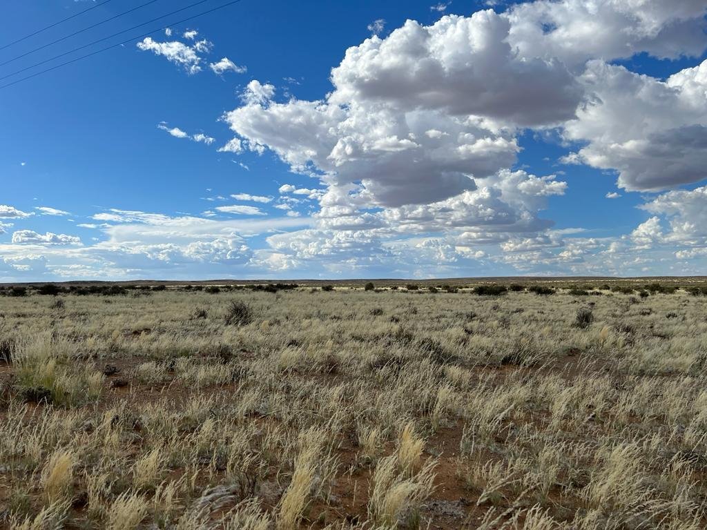 Farm Ranch in Calvinia, Northern Cape, South Africa 2 - 16969523