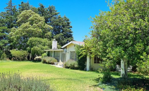 Farm Ranch in Nieuwoudtville, Northern Cape, South Africa 1