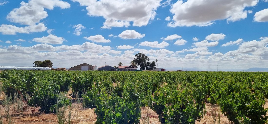 Farm Ranch in Darling, South Africa 2 - 16969532