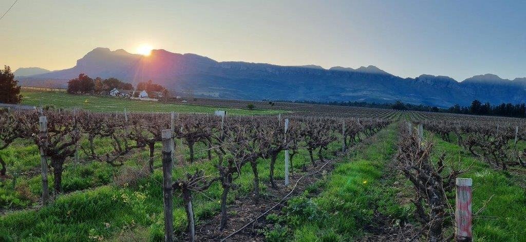 Farm Ranch in Drakenstein Local Municipality, Western Cape, South Africa 1 - 16969533