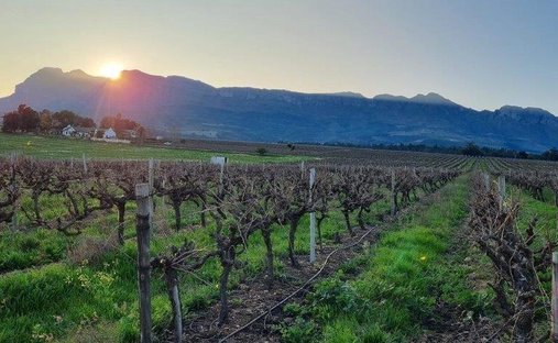 Corps de ferme à Paarl, Cap-Occidental, Afrique du Sud 1