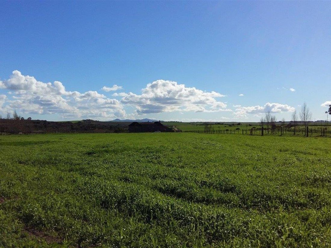Farm Ranch in Cape Town, Western Cape, South Africa 4 - 16969540