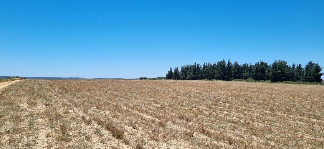 Farm Ranch in Hantam Local Municipality, Northern Cape, South Africa 2 - 16969526