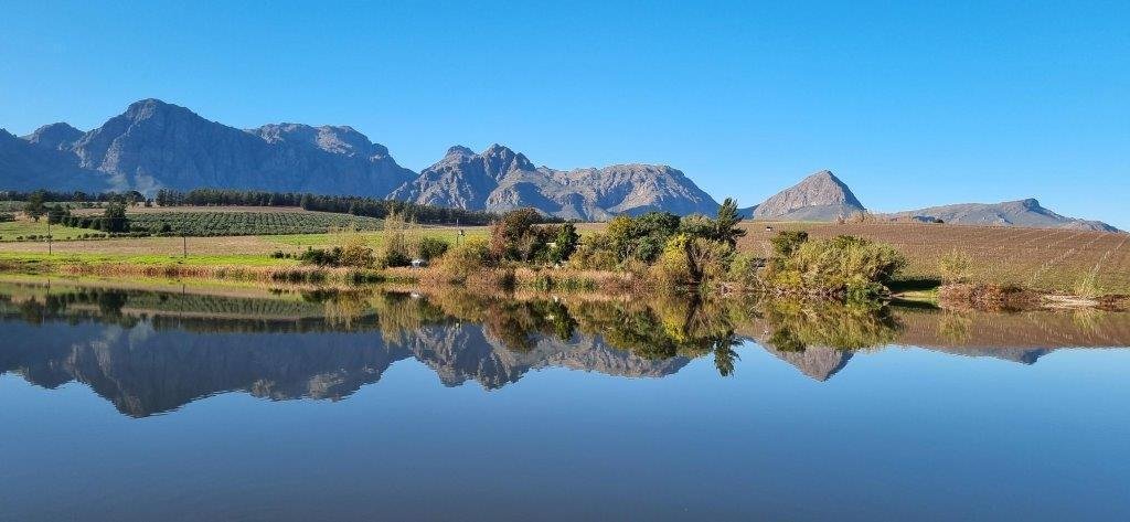 Farm Ranch in Drakenstein Local Municipality, Western Cape, South Africa 5 - 16969533