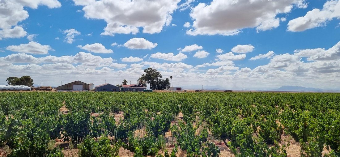 Farm Ranch in Darling, South Africa 1 - 16969532