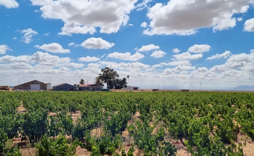Farm Ranch in Darling, South Africa 1