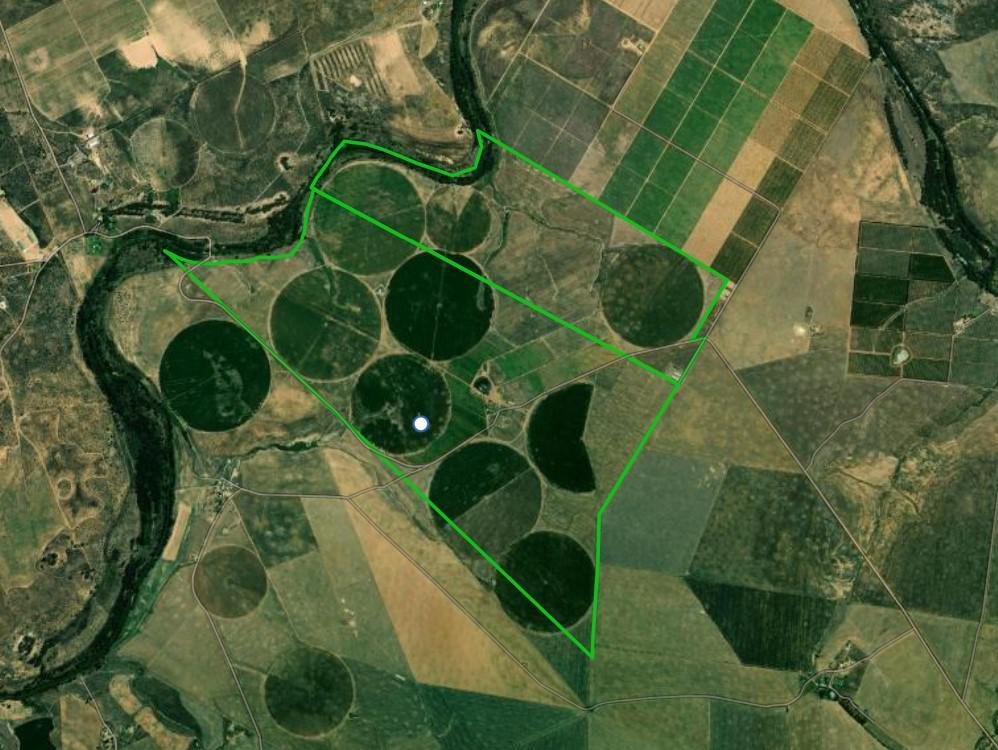 Farm Ranch in Moorreesburg, Western Cape, South Africa 1 - 16969534