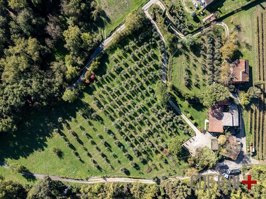 Country House in Center, Orvieto, Umbria 3 - 16969947