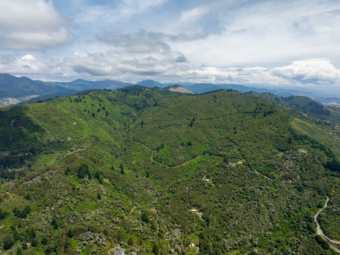 Nelson, Nelson, New Zealand 1 - 16969772