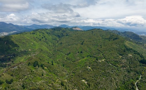 Nelson, Nelson, New Zealand 1
