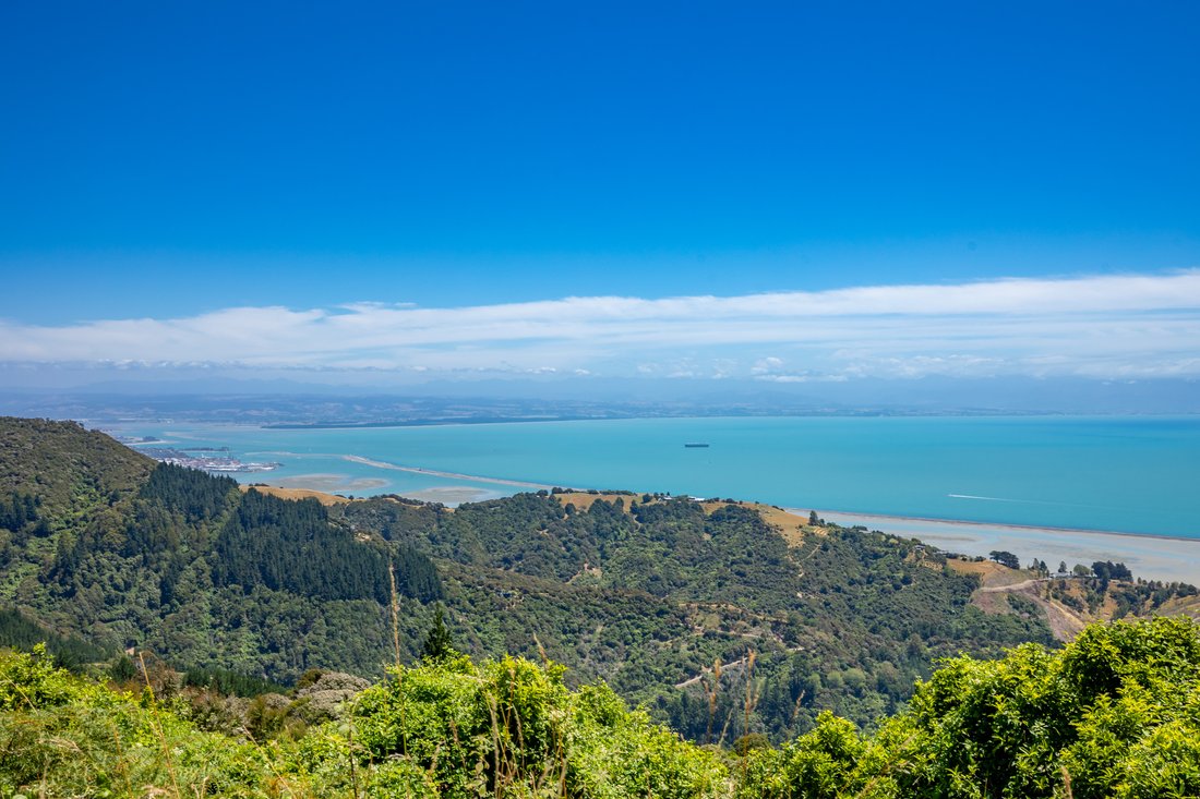 Nelson, Nelson, New Zealand 4 - 16969772