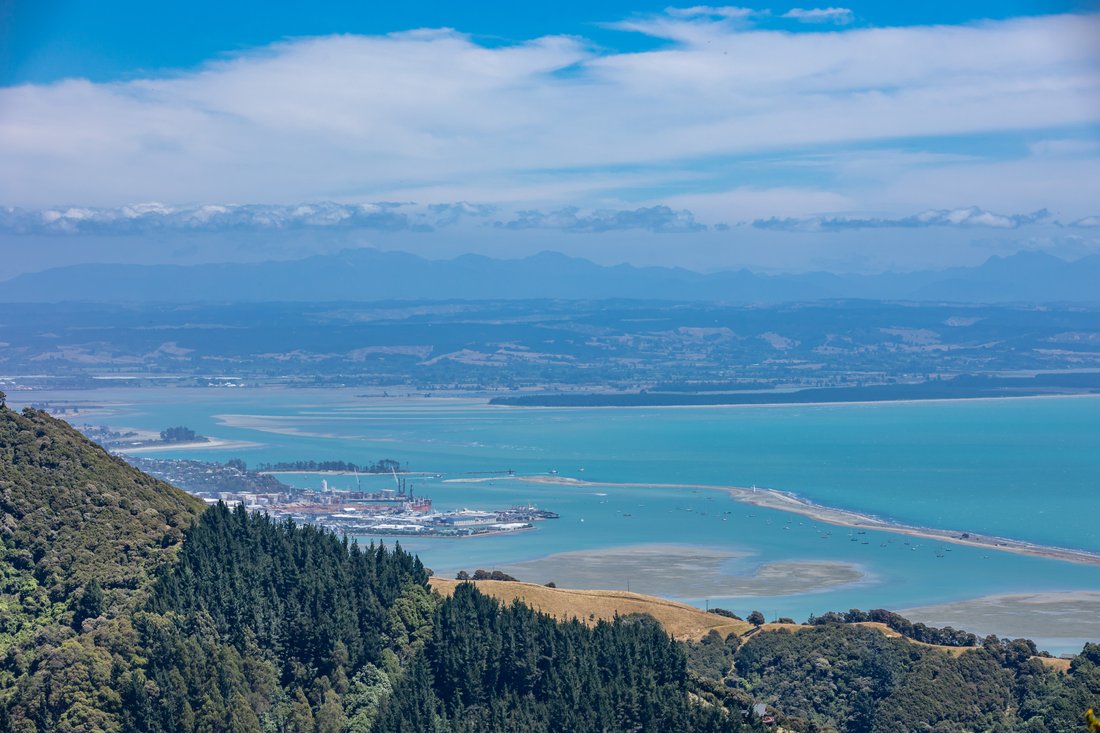 Nelson, Nelson, New Zealand 5 - 16969772