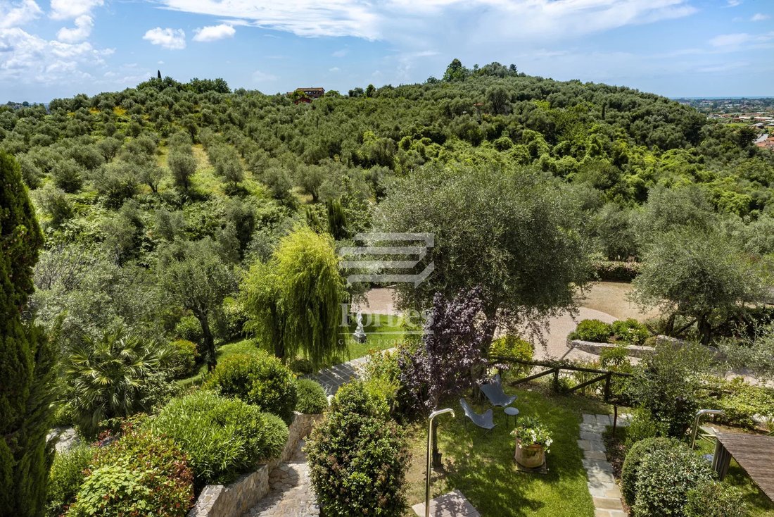 Capezzano Pianore, Camaiore, Tuscany 5 - 15485039