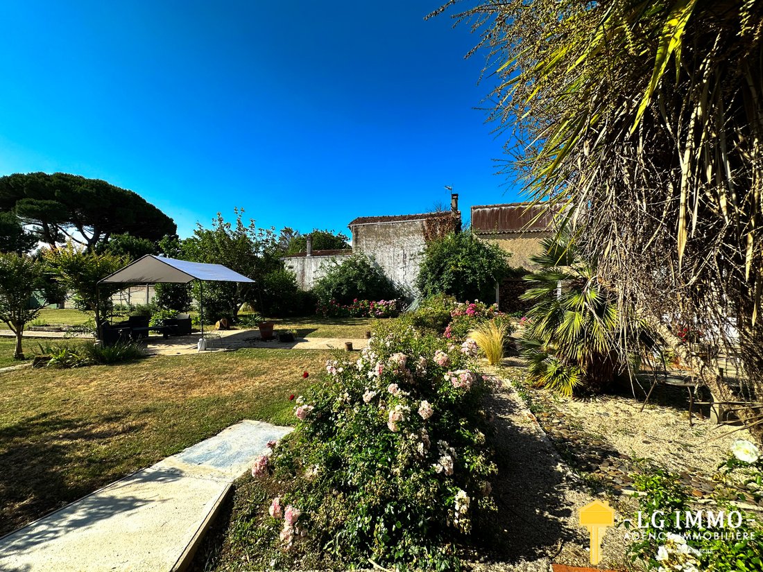 House in Meschers-sur-Gironde, Nouvelle-Aquitaine, France 3 - 16973247