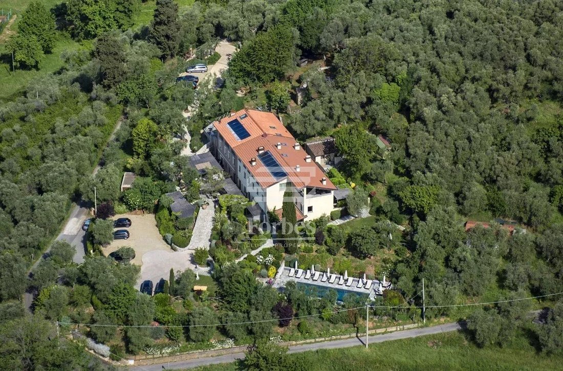 Capezzano Pianore, Camaiore, Tuscany 4 - 15485039