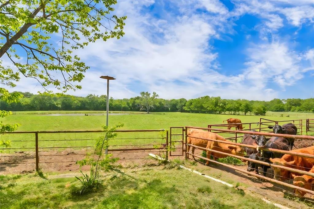 House in Cross Roads, Texas, United States 5 - 16972499