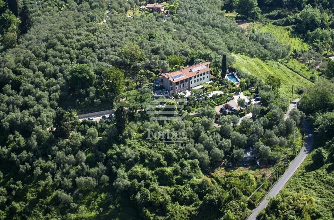 Capezzano Pianore, Camaiore, Tuscany 3 - 15485039