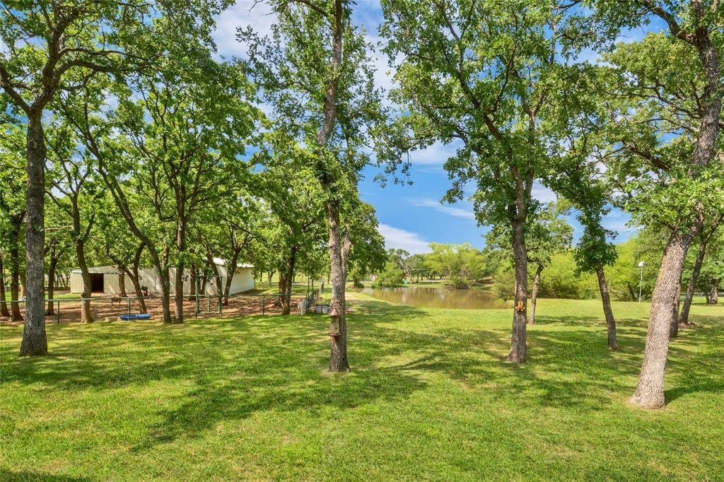 House in Cross Roads, Texas, United States 3 - 16972473