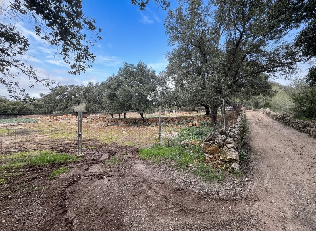 Land in Costitx, Balearic Islands, Spain 3 - 16971285