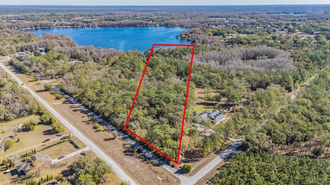 Land in Land O' Lakes, Florida, United States 2 - 16973781