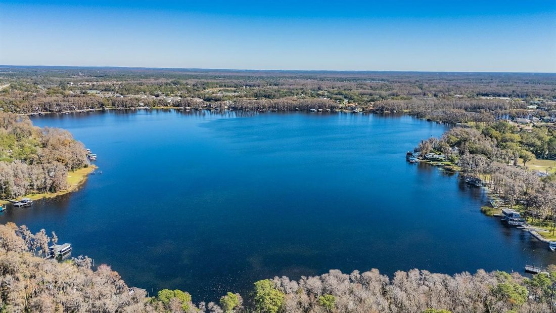 Land in Land O' Lakes, Florida, United States 4 - 16973781
