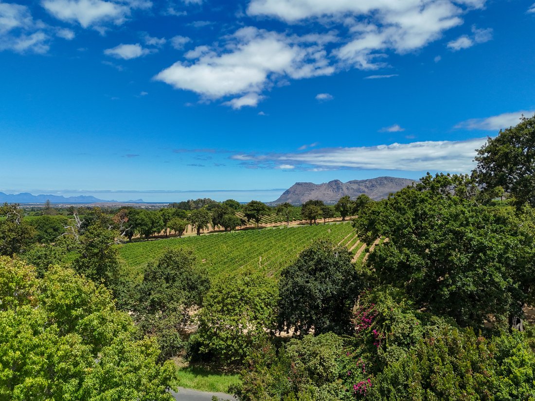 House in Constantia, Silverhurst, Cape Town 3 - 16971434