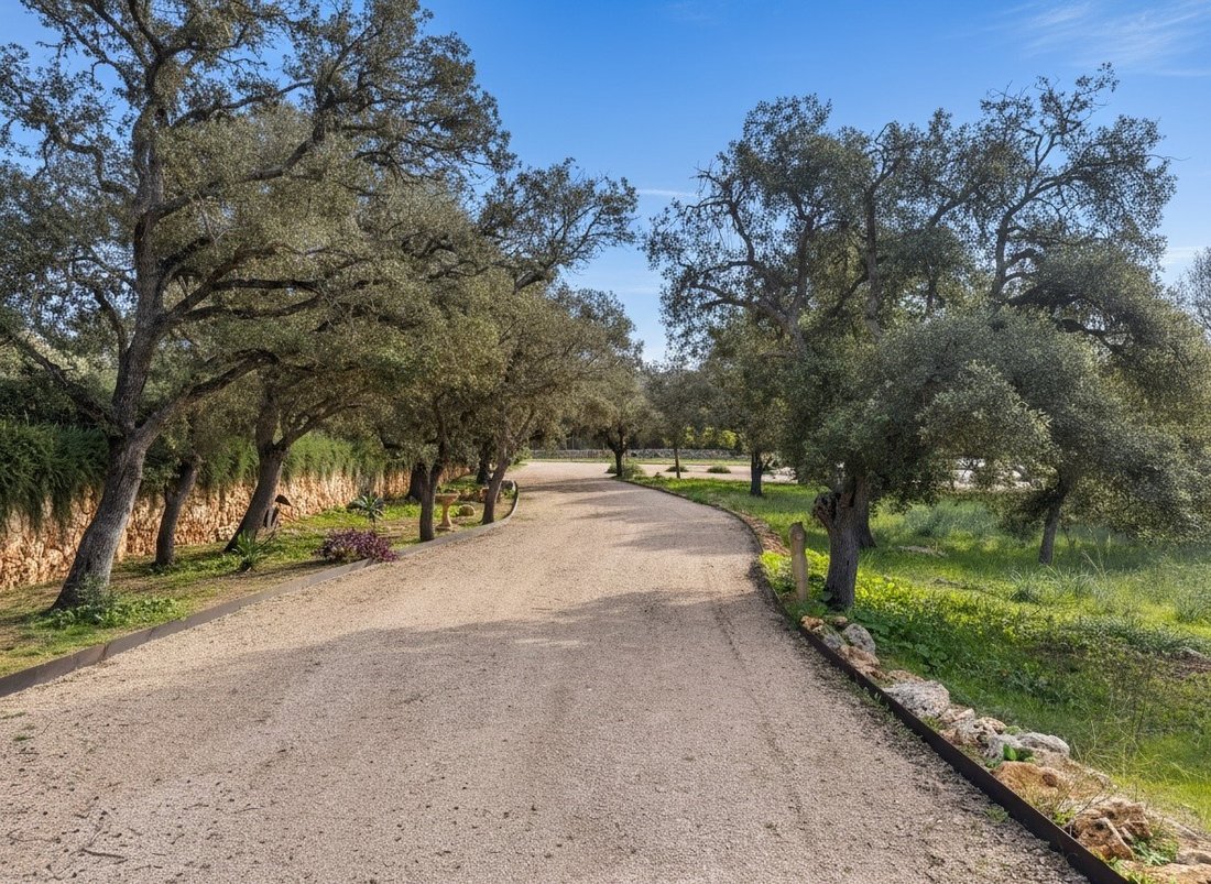 Land in Costitx, Balearic Islands, Spain 1 - 16971285
