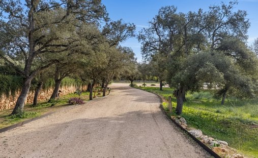 Terreno a Costitx, Isole Baleari, Spagna 1