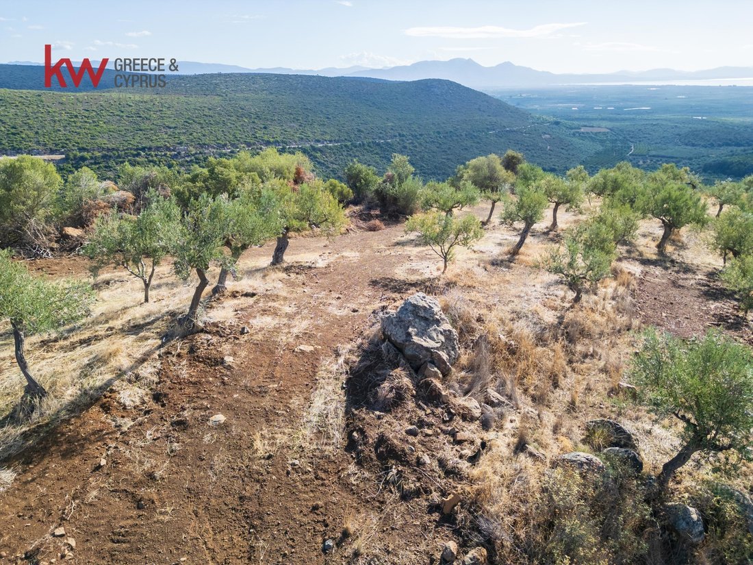 Land in Eurotas, Peloponnese, Western Greece and the Ionian, Greece 1 - 16972581