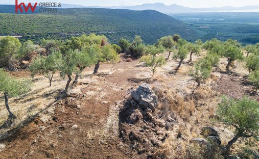 Land in Eurotas, Peloponnese, Western Greece and the Ionian, Greece 1