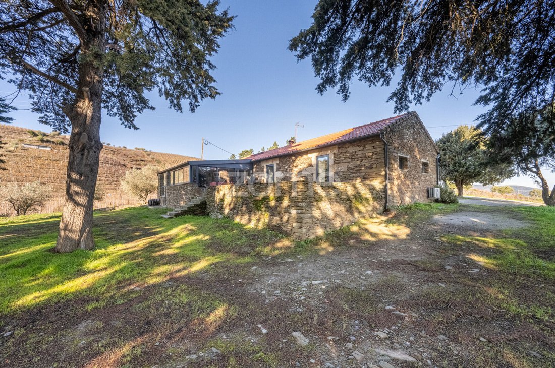 Finca in Barcos e Santa Leocadia, Viseu District, Portugal 3 - 14303661