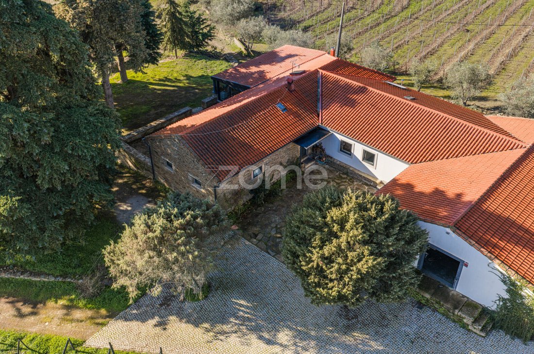 Finca in Barcos e Santa Leocadia, Viseu District, Portugal 2 - 14303661
